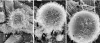 FIG. 5.