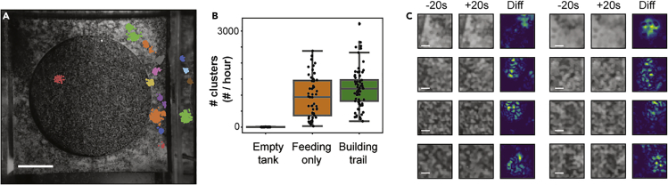 Figure 3