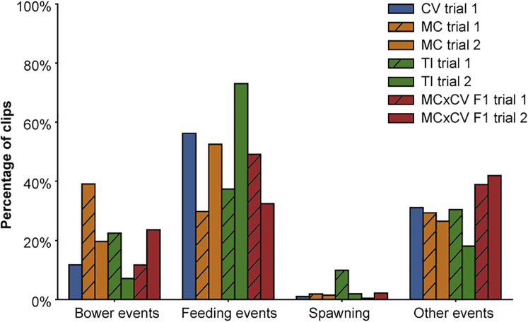 Figure 4