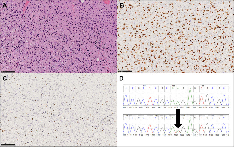 Figure 2