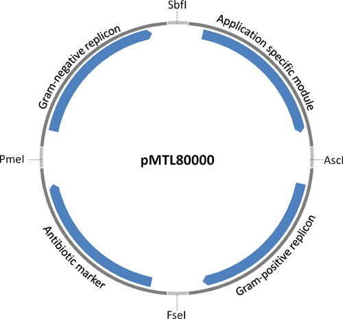 FIGURE 1