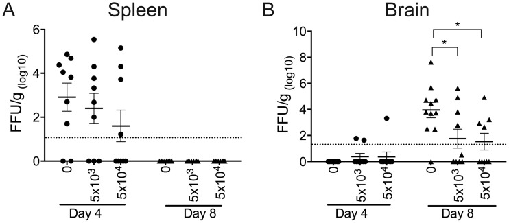 FIG 7