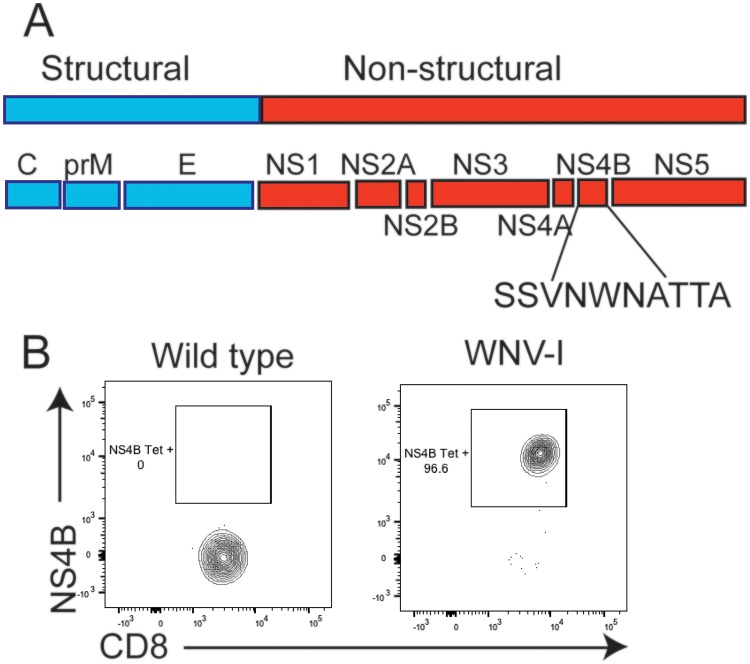 FIG 1