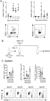 FIG 2
