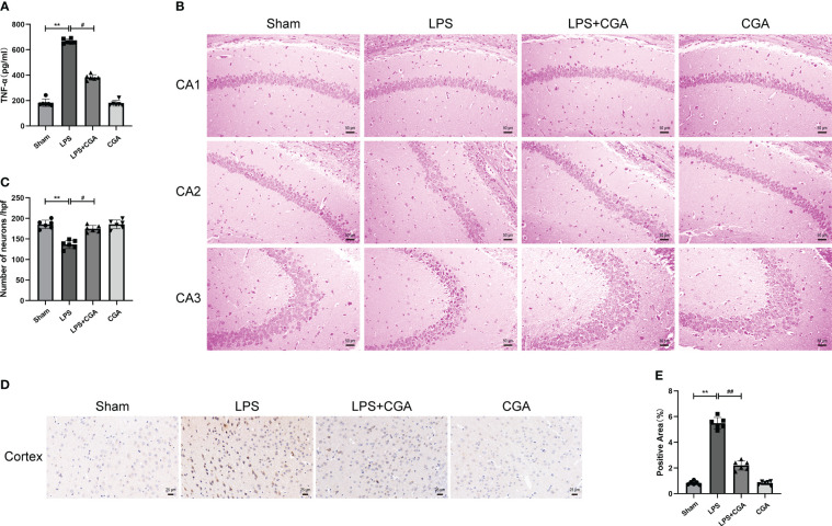 Figure 2