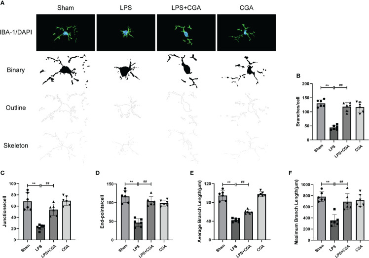 Figure 4