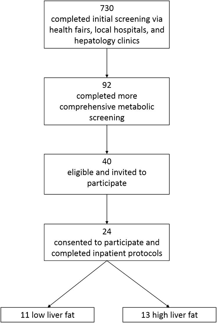 FIGURE 1 