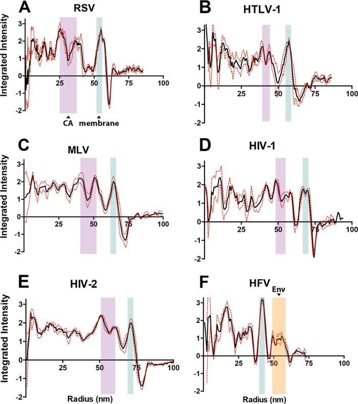 FIG 6