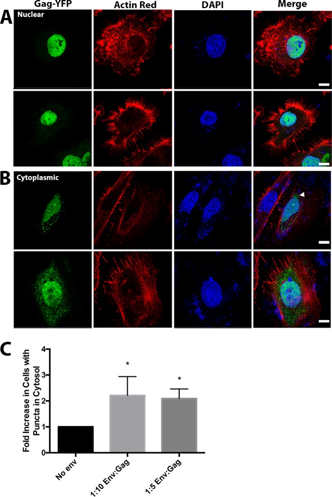 FIG 2