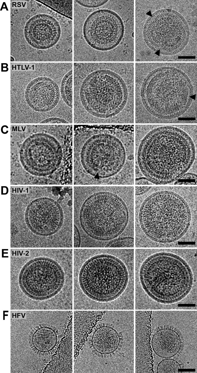 FIG 4