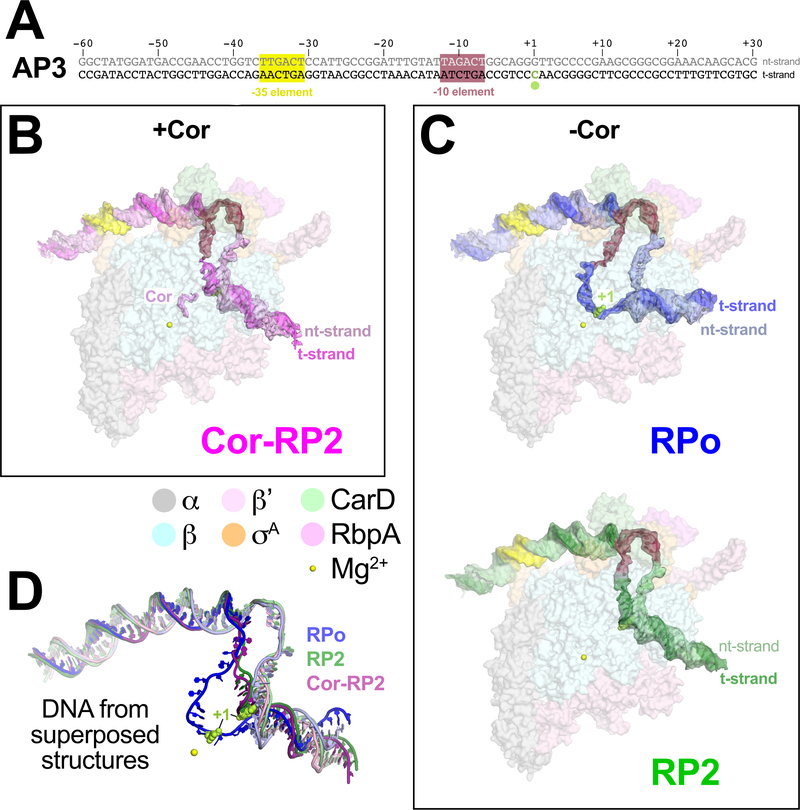 Figure 1 |