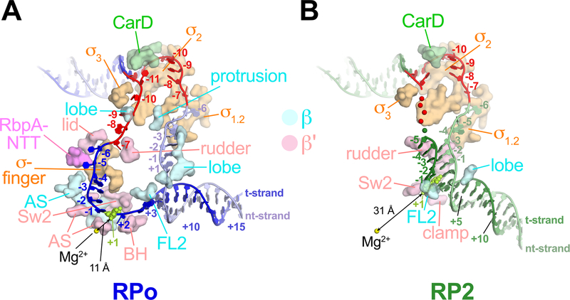 Figure 2 |