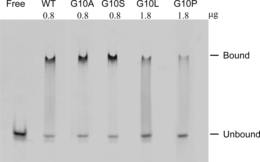 Fig. 5