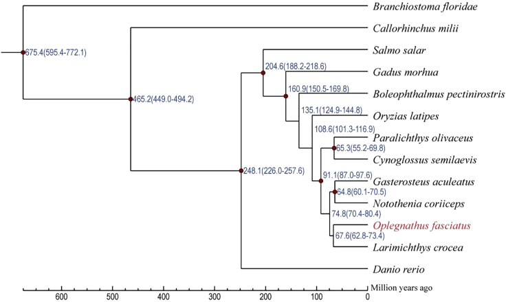 Figure 5