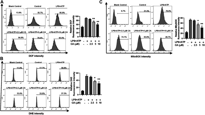 FIGURE 7