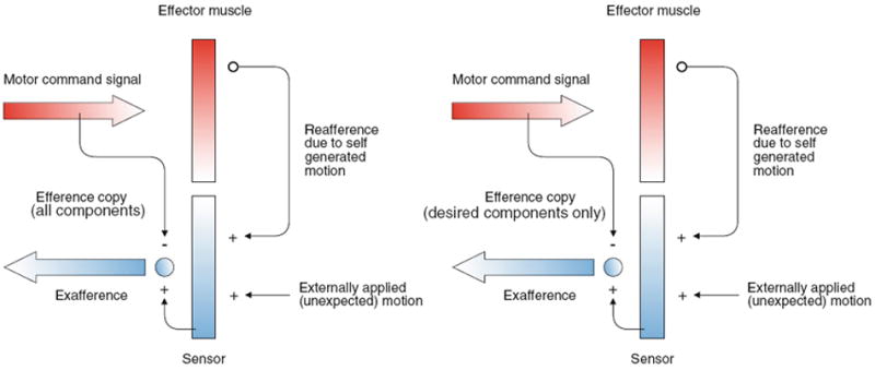 Fig. 11