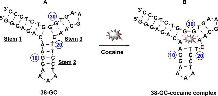 Figure 1.