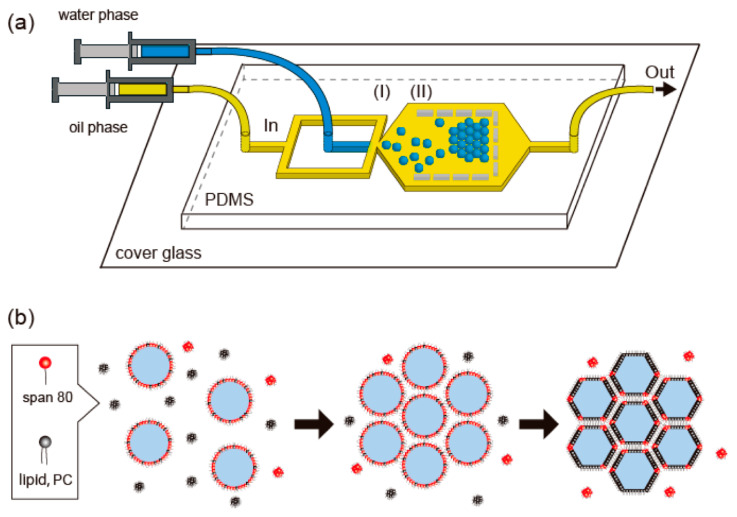 Figure 27