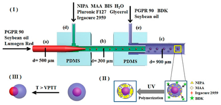 Figure 22