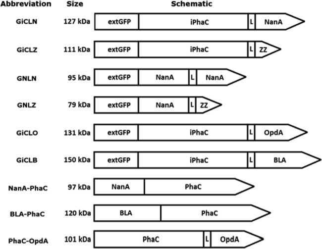 FIG 4