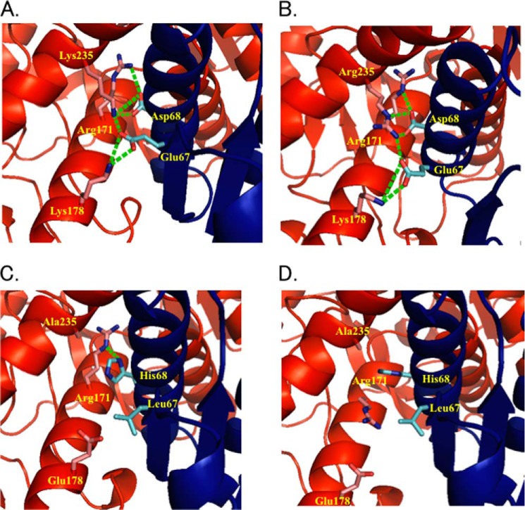 FIGURE 1.