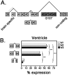 Fig 7