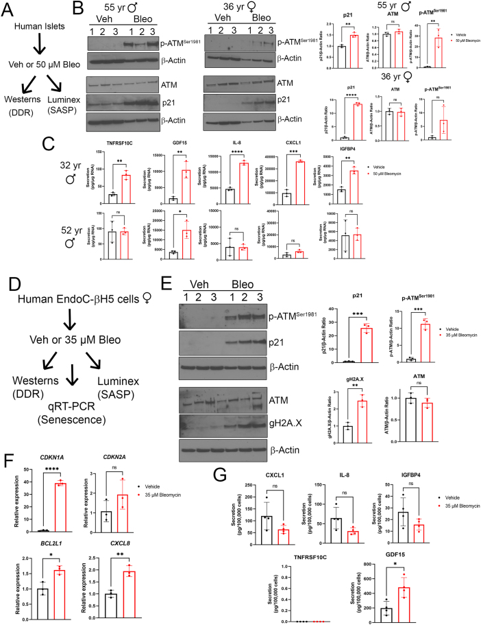 Figure 5