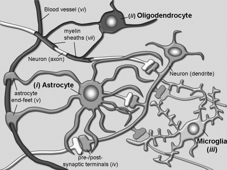 Fig. (1)