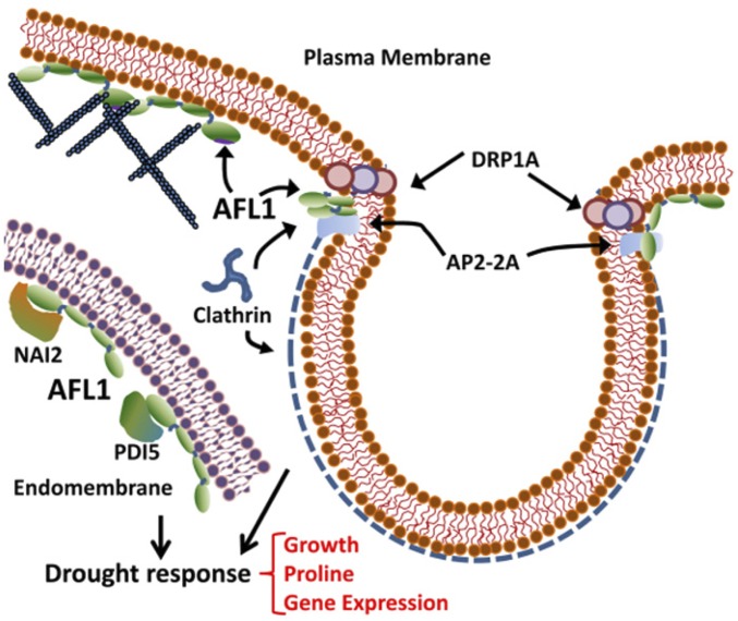 Fig. 4.