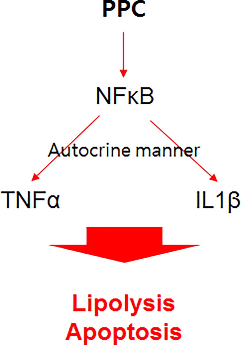 Fig 5