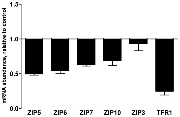 Fig. 3