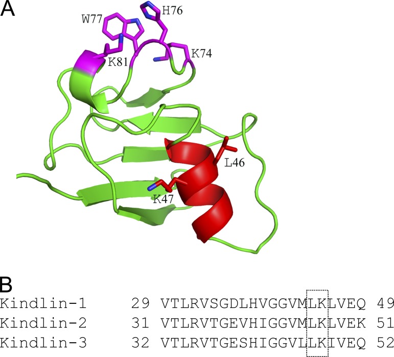 Figure 9.