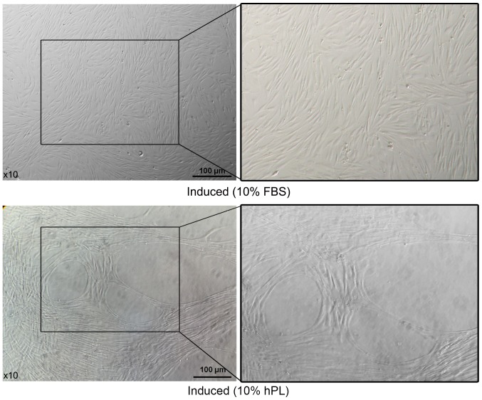 Figure 5.