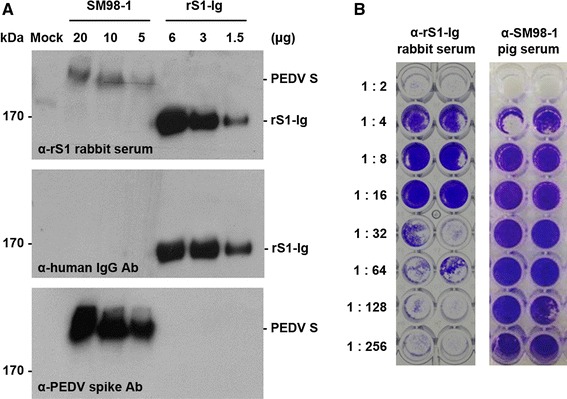 Fig. 3