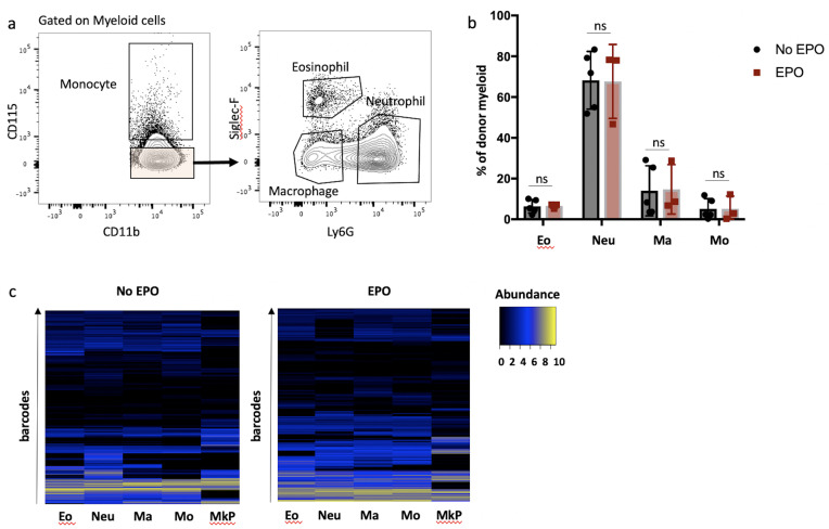 Figure 3—figure supplement 1.