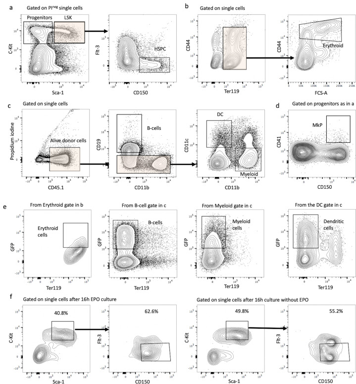 Figure 1—figure supplement 1.