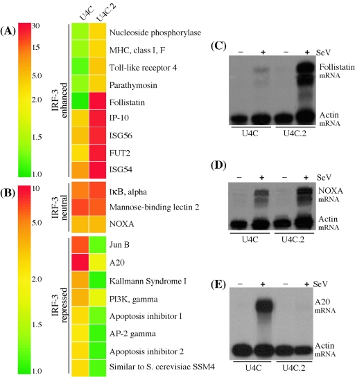 FIG. 6.