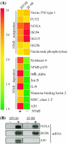 FIG. 4.