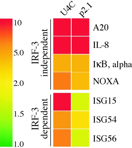 FIG. 5.