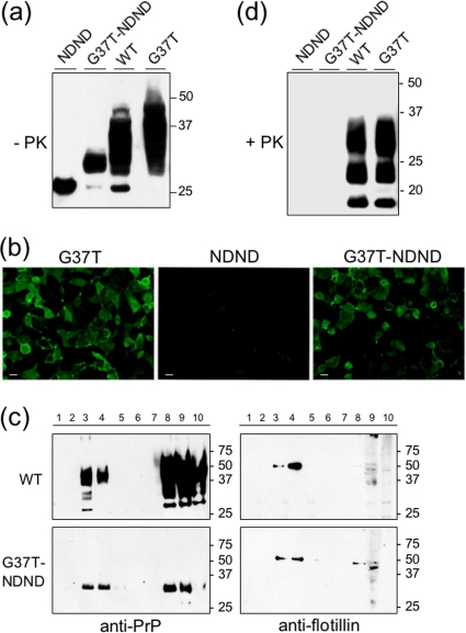 FIG. 7.