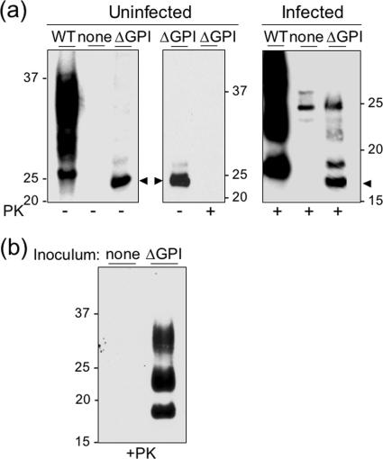 FIG. 8.