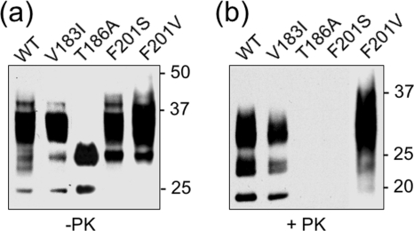 FIG. 9.