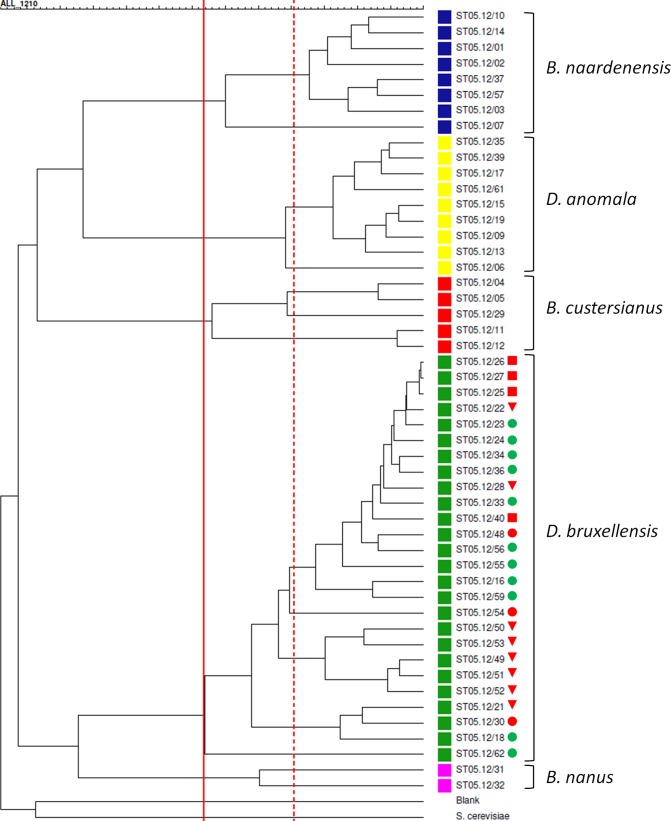 FIG 2