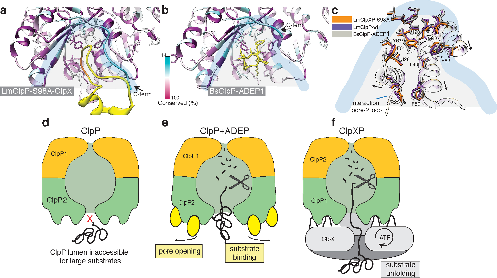 Figure 7