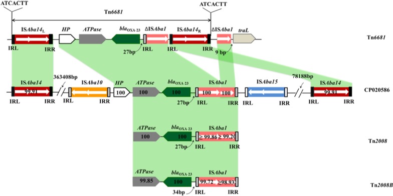 Fig. 3