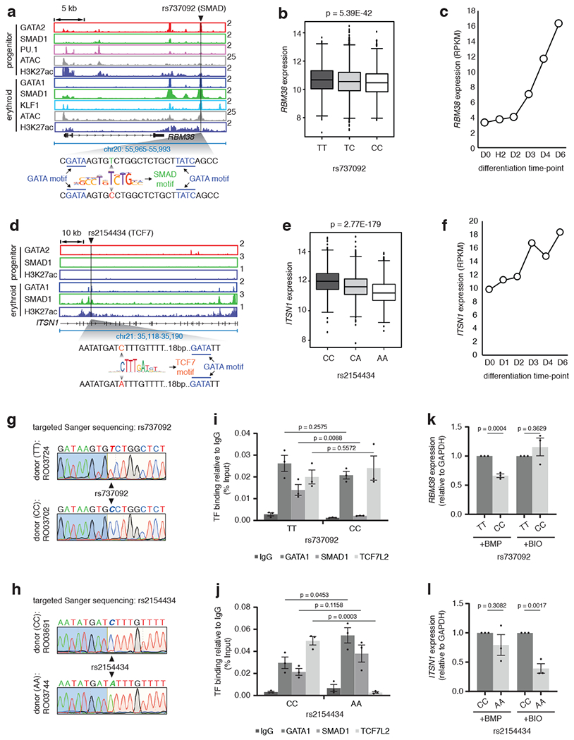 Fig. 7 |