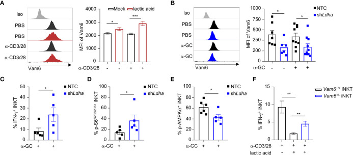 Figure 6