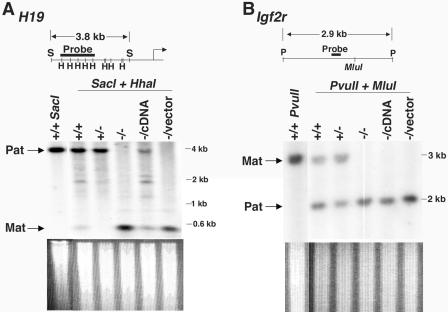 FIG. 7.