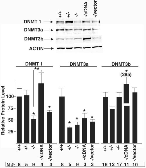 FIG. 9.