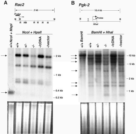 FIG. 6.